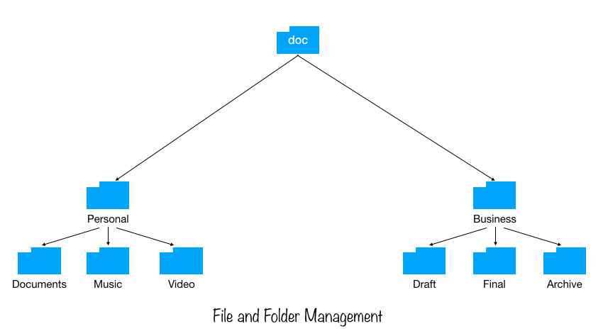 File and Folder Management